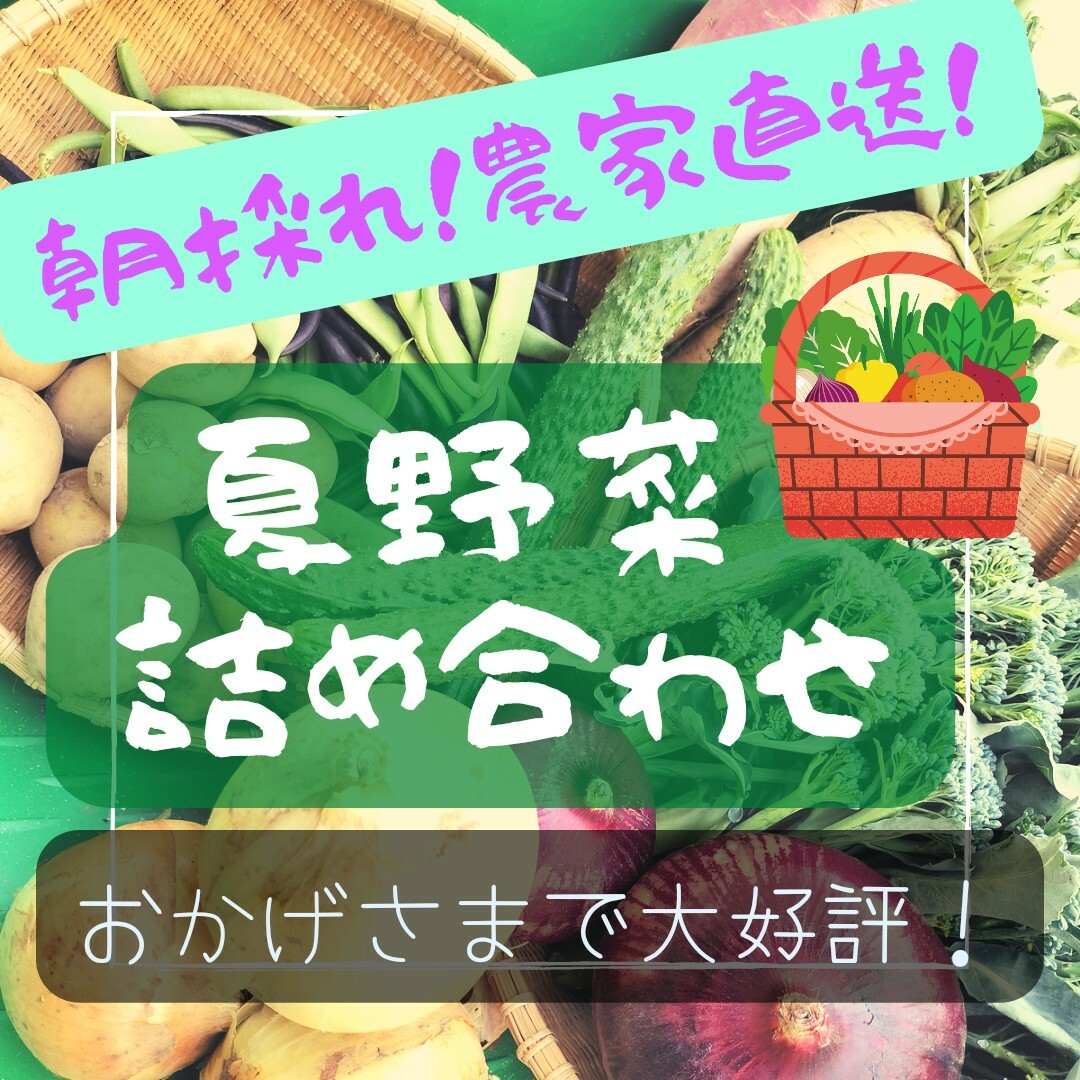 農家直売！夏野菜詰め合わせ100サイズ 食品/飲料/酒の食品(野菜)の商品写真