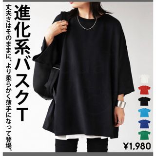 アンティカ(antiqua)のantique  バスクTシャツ　新品タグ付き　ホワイト(Tシャツ(半袖/袖なし))