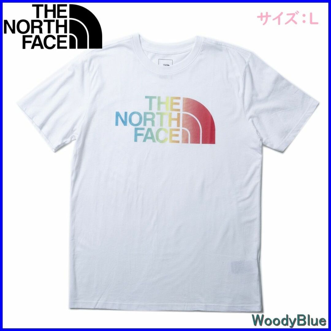 【新品 Lサイズ】ザ・ノースフェイス Tシャツ NF0A4M4P