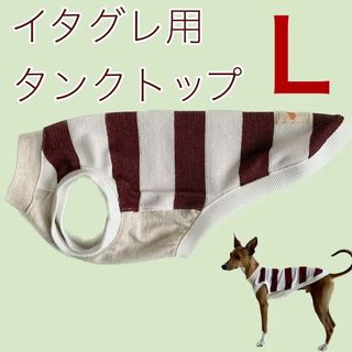 イタグレ服　タンクトップ 綿ニット ハンドメイド　えんじ色ボーダー　Lサイズ(ペット服/アクセサリー)