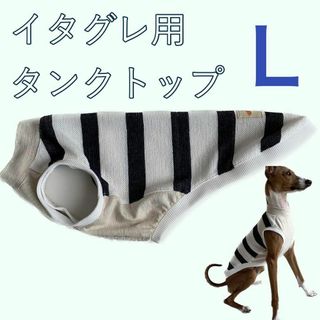 イタグレ服　タンクトップ 綿ニット ハンドメイド　ネイビーボーダー　Lサイズ