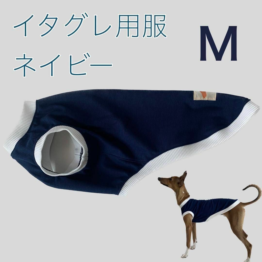 イタグレ服 タンクトップ 綿ニット ハンドメイド ネイビー Mサイズ | フリマアプリ ラクマ