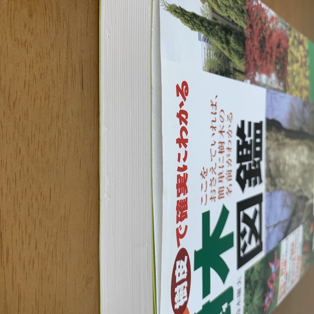 葉実樹皮で確実にわかる樹木図鑑 エンタメ/ホビーの本(趣味/スポーツ/実用)の商品写真