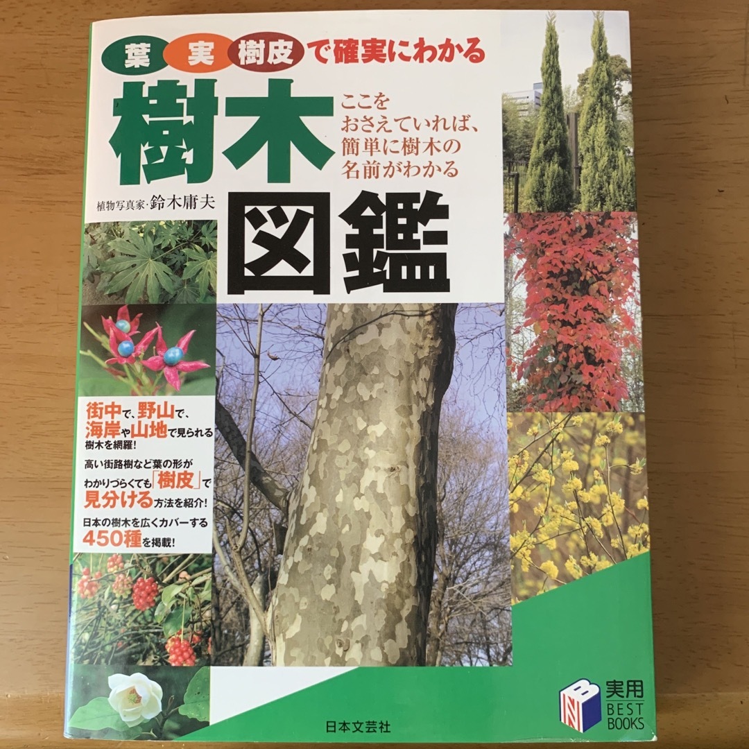 葉実樹皮で確実にわかる樹木図鑑 エンタメ/ホビーの本(趣味/スポーツ/実用)の商品写真