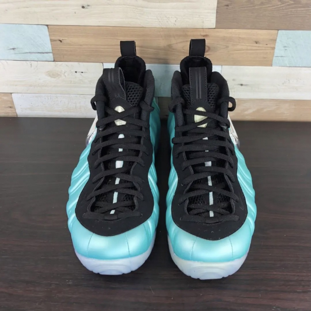 NIKE AIRFOAMPOSITE PRO  29cm