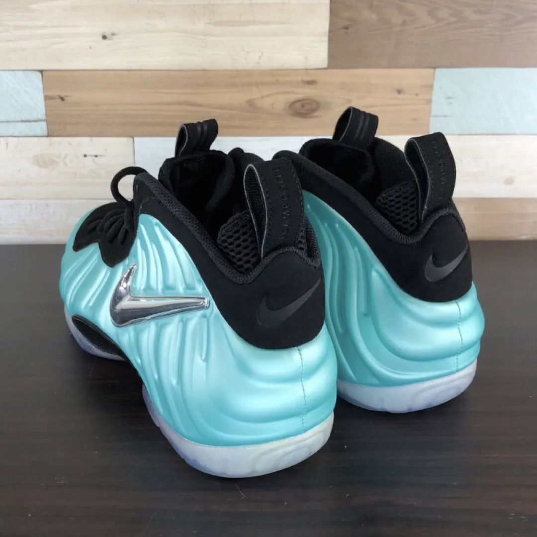 NIKE AIRFOAMPOSITE PRO  29cm