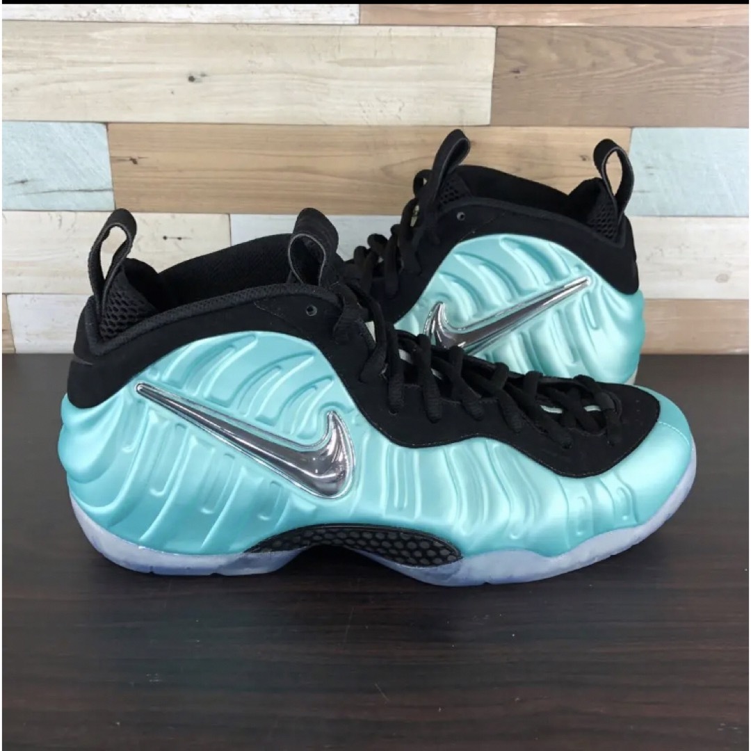 NIKE AIRFOAMPOSITE PRO  29cm