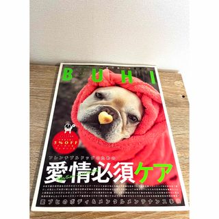 BUHI (ブヒ) 2018年 02月号(その他)