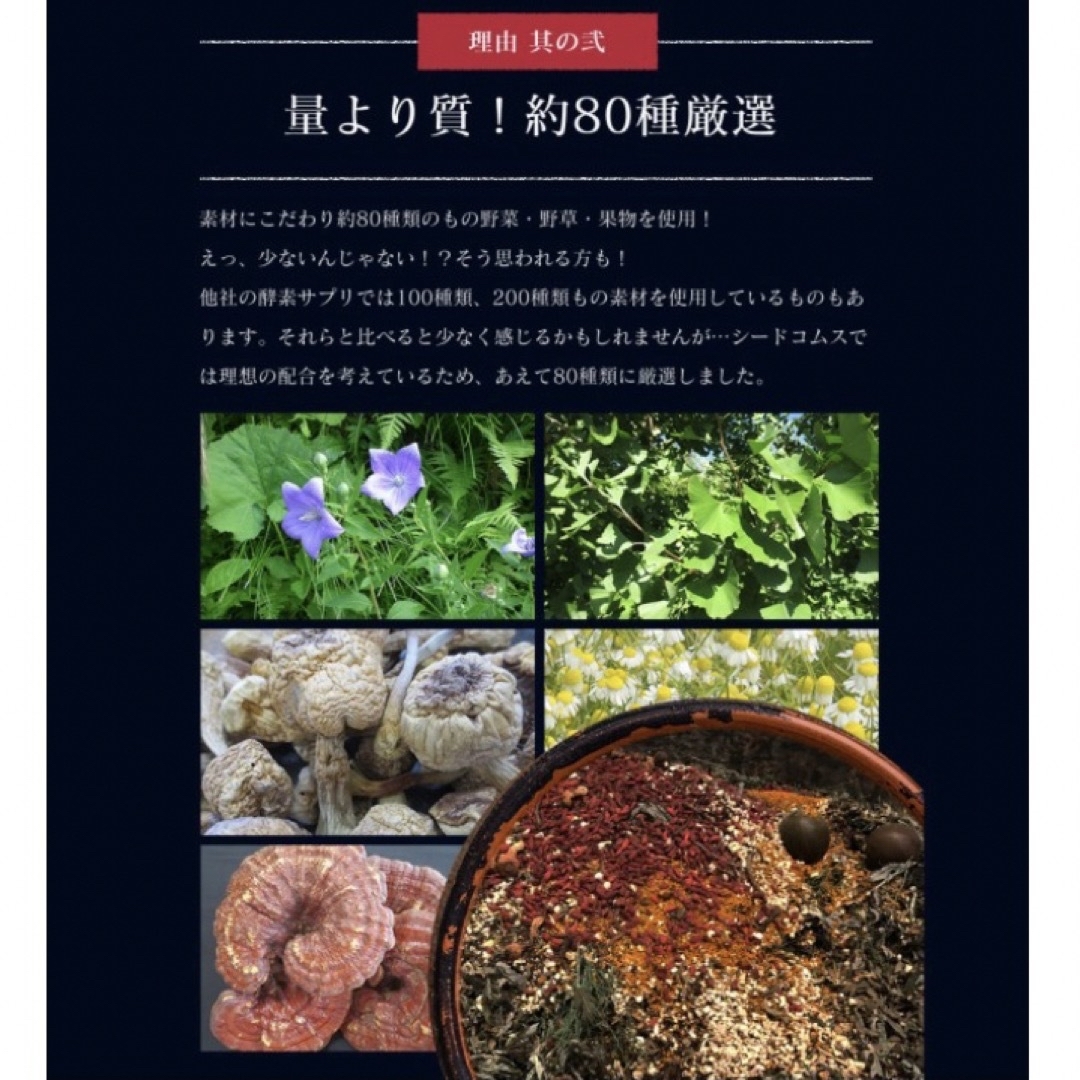 匠の野草酵素 野菜酵素 練酵素 ビタミン 乳酸菌  サプリメント  1年分 食品/飲料/酒の健康食品(その他)の商品写真