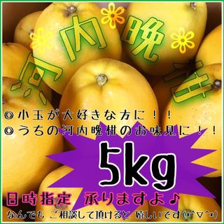 【えひめ産】《訳あり》かわちばんかん《河内晩柑》みかん蜜柑ミカン柑橘(フルーツ)