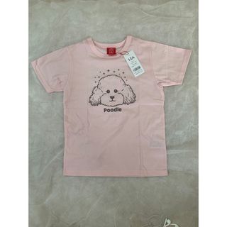 オジコ(OJICO)のOJICO  Tシャツ(Tシャツ/カットソー)