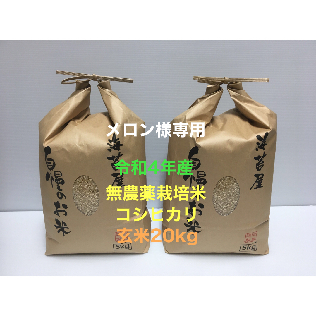 SALE/60%OFF】【SALE/60%OFF】Hiroto Suzuki様 専用 能登産