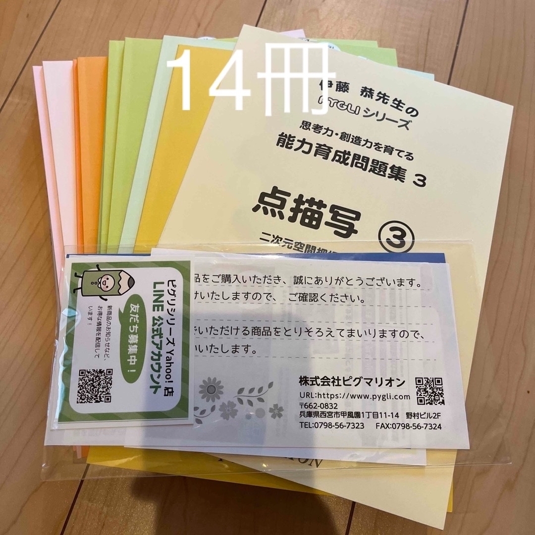 PYGLI ピグリ　シリーズ　能力育成問題集　14冊