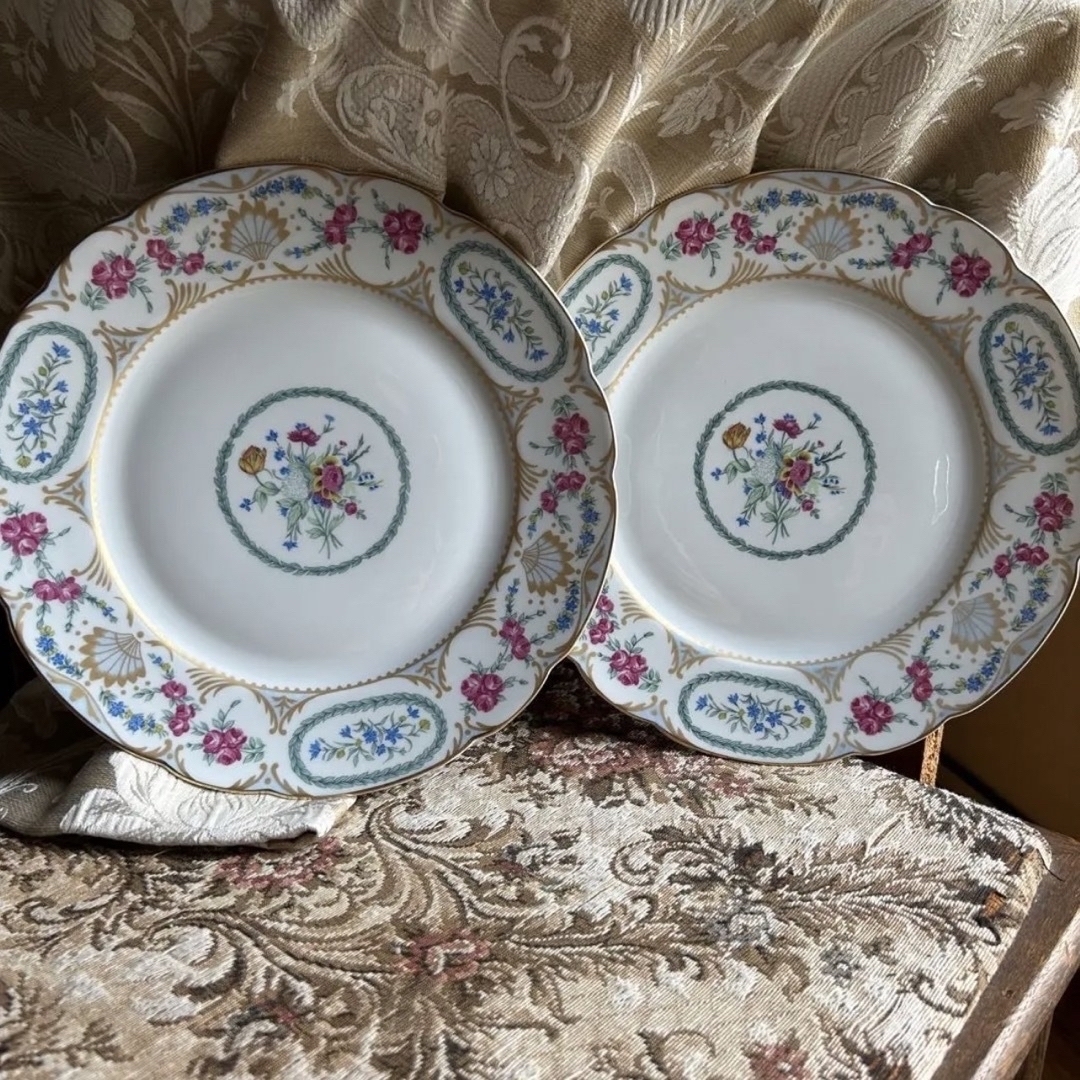 希少品 フランス製 Limoges vigny ディナープレート ペア | www.nov-ita.fr