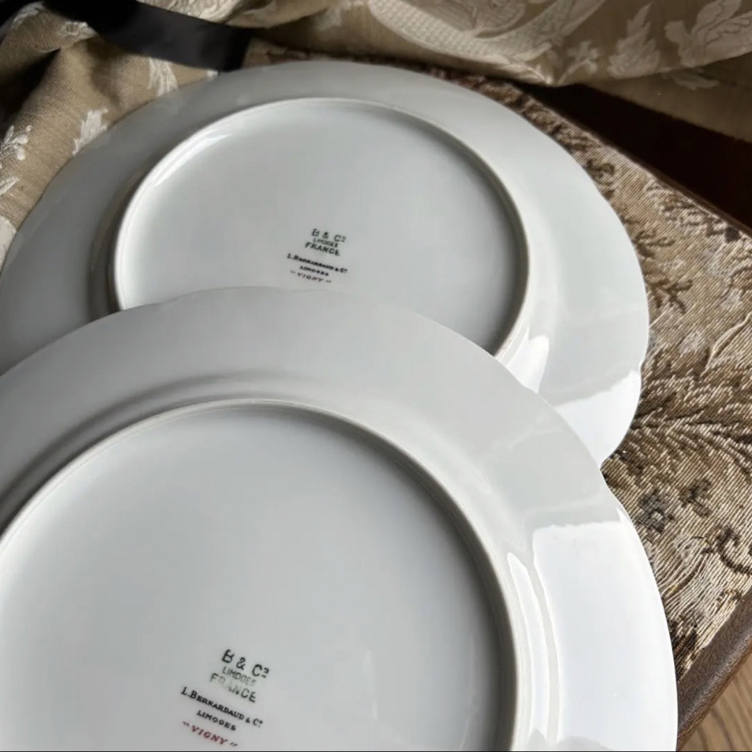 希少品 フランス製 Limoges vigny ディナープレート ペア | www.nov-ita.fr
