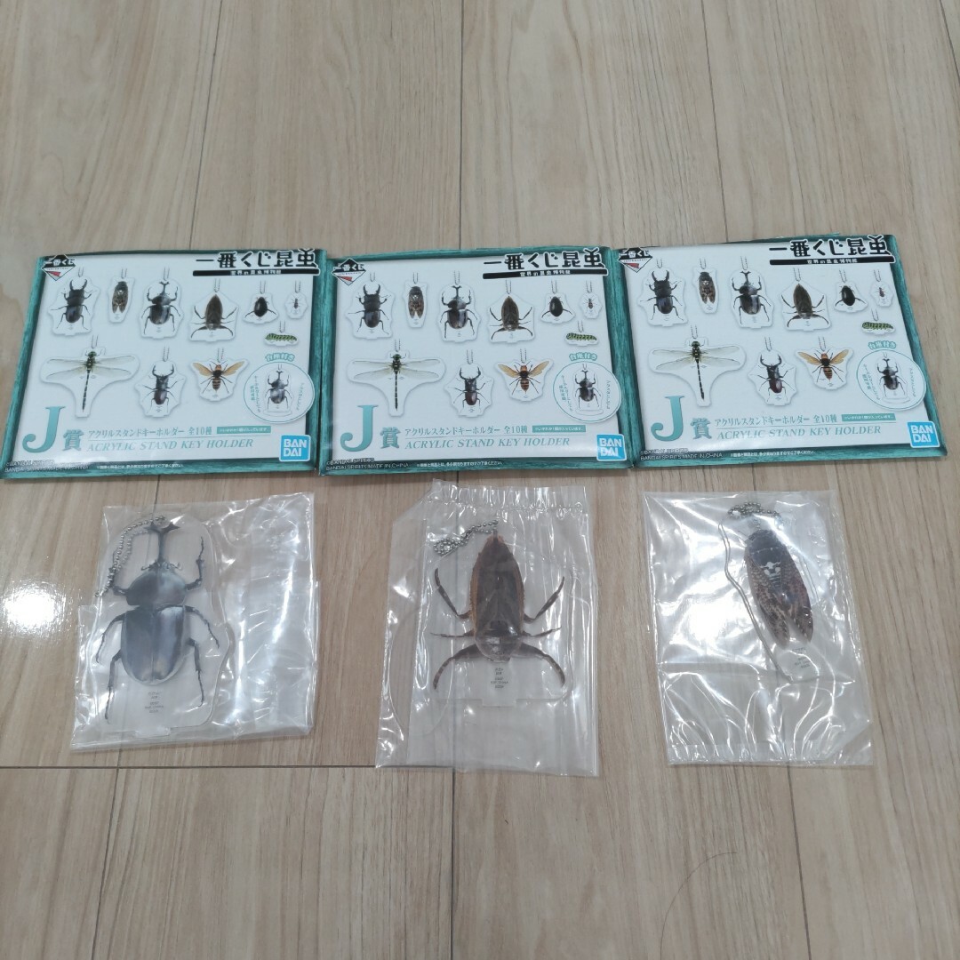 BANDAI - 一番くじ昆虫 J賞アクリルスタンドキーホルダー 3種類の通販