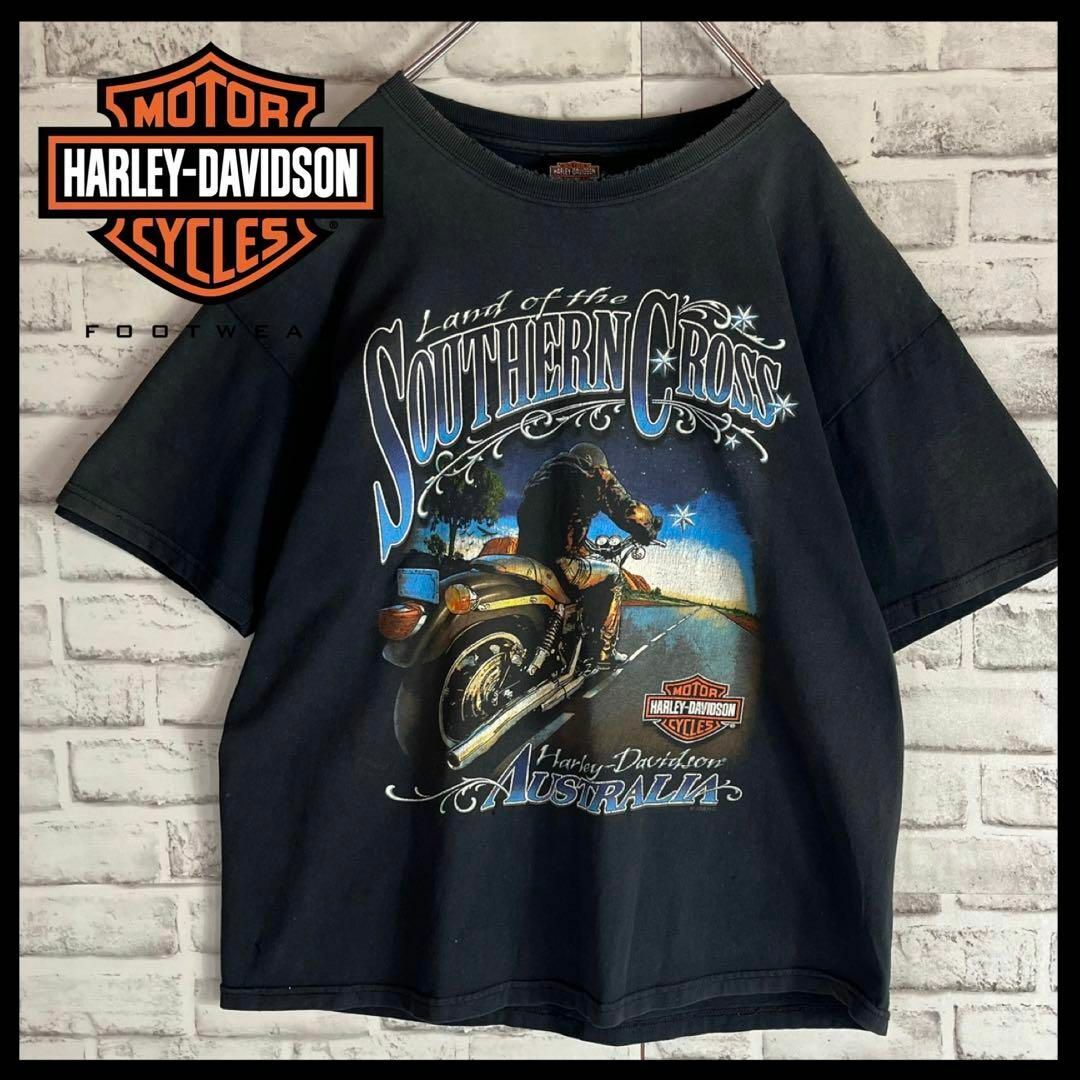 Harley Davidson - 【丈夫な生地】ハーレーダビッドソン 両面ビッグ ...