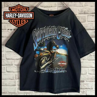 Harley Davidson - 【丈夫な生地】ハーレーダビッドソン 両面ビッグ 