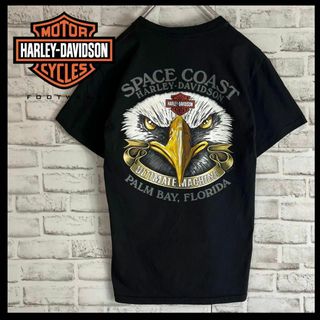 ハーレーダビッドソン(Harley Davidson)の【希少レア】ハーレーダビッドソン　バッグプリントTシャツ イーグル　M248(Tシャツ/カットソー(半袖/袖なし))