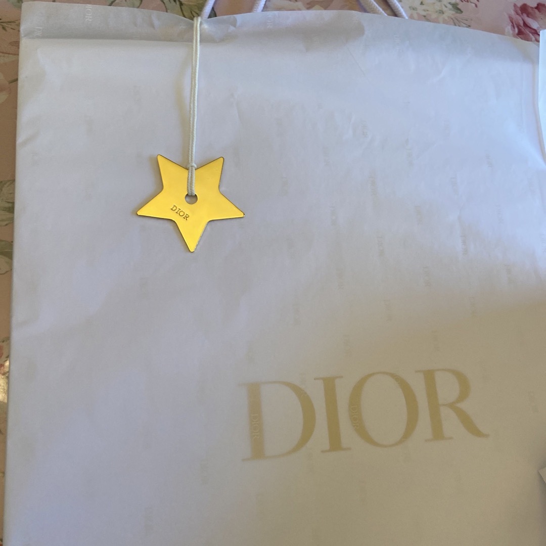 Dior(ディオール)のDior シューズBOX🩷ラッピング🩷巾着２枚シューズケース🩷スターチャーム付き レディースの靴/シューズ(サンダル)の商品写真