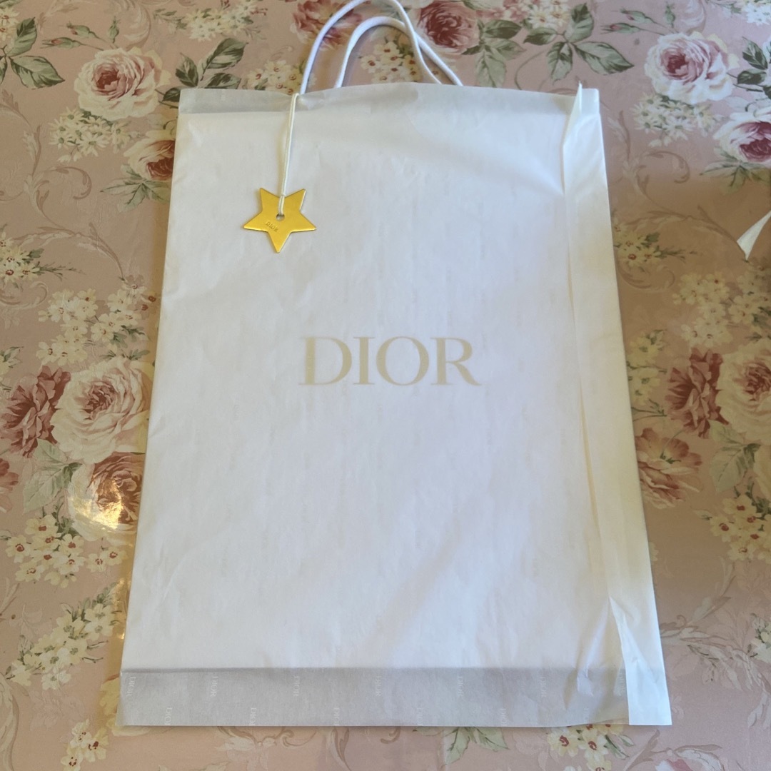 Dior(ディオール)のDior シューズBOX🩷ラッピング🩷巾着２枚シューズケース🩷スターチャーム付き レディースの靴/シューズ(サンダル)の商品写真