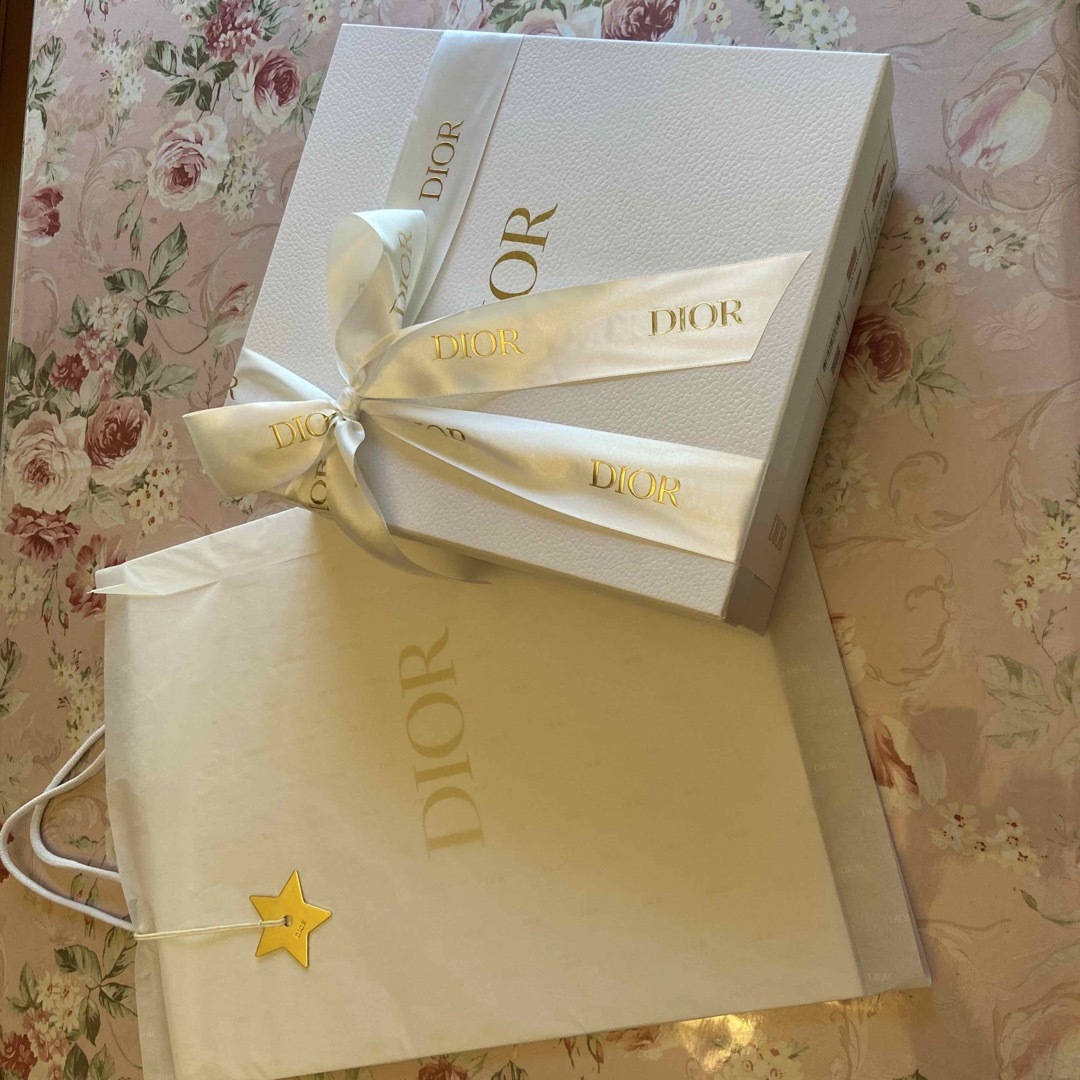 Dior(ディオール)のDior シューズBOX🩷ラッピング🩷巾着２枚シューズケース🩷スターチャーム付き レディースの靴/シューズ(サンダル)の商品写真