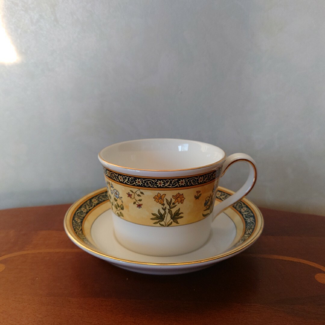 ☆WEDGWOOD☆INDIA カップ&ソーサー 廃盤 | www.pastificiomaiella.com