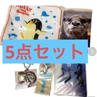 サンシャイン水族館　グッズ5点セット(キャラクターグッズ)