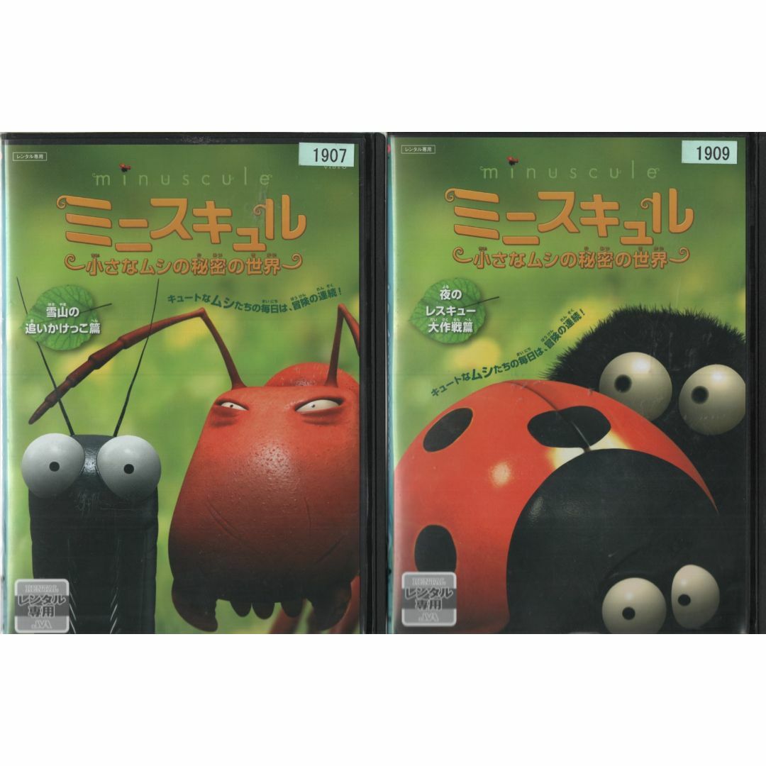 rd03445 ミニスキュル ~小さなムシの秘密の世界~ ５巻セット DVD