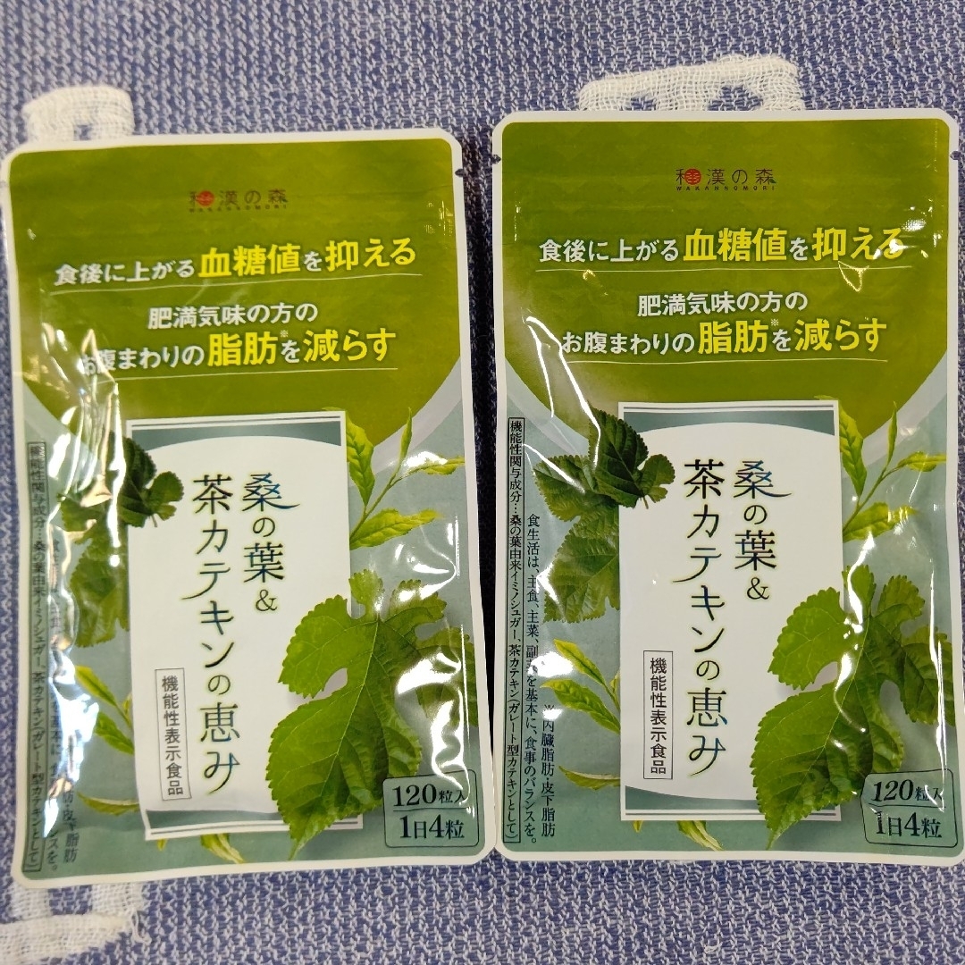 和漢の森 桑の葉&茶カテキンの恵み 120粒入 ×2袋