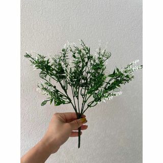 光触媒フェイクグリーン人工植物　緑　鑑賞植物(その他)