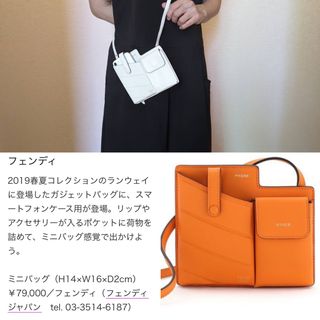 FENDI - 大人気 フェンディ FENDI スマホケース スマホショルダー