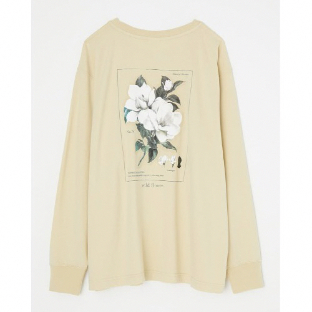 moussy(マウジー)のmoussy マウジー FLOWER PICTURE BOOK LS Tシャツ レディースのトップス(Tシャツ(長袖/七分))の商品写真