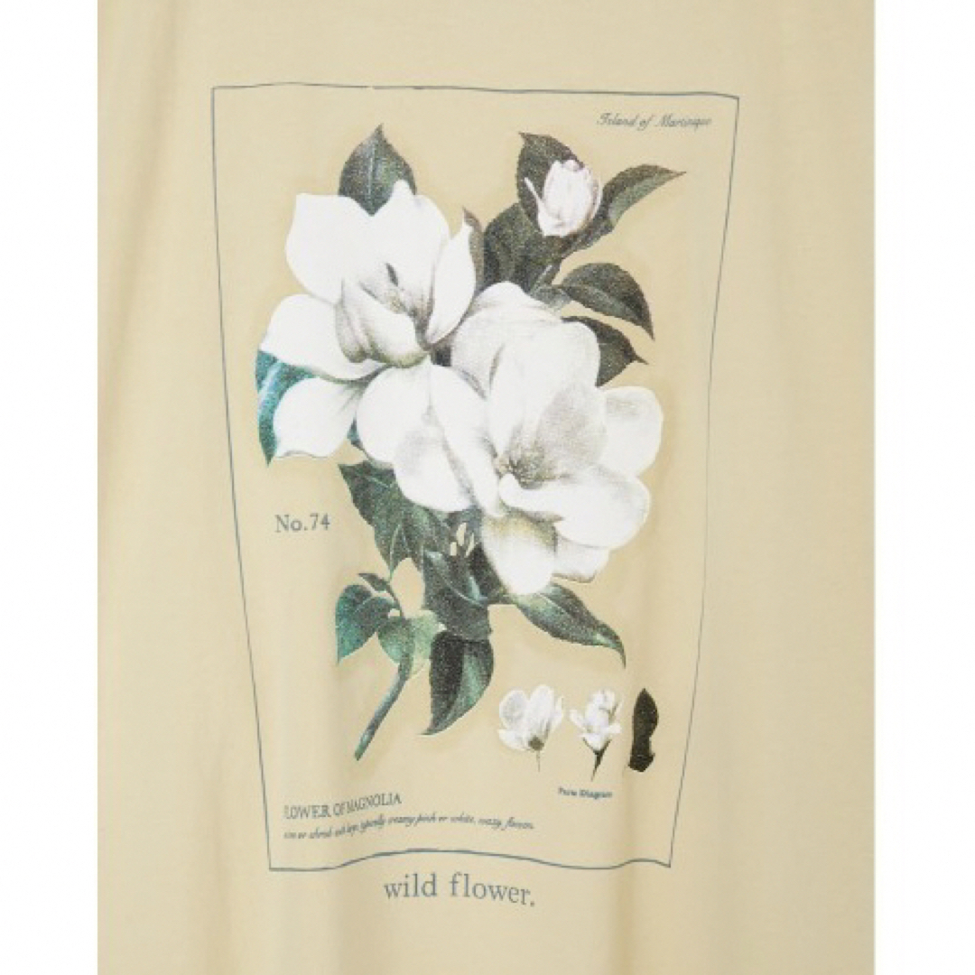 moussy(マウジー)のmoussy マウジー FLOWER PICTURE BOOK LS Tシャツ レディースのトップス(Tシャツ(長袖/七分))の商品写真