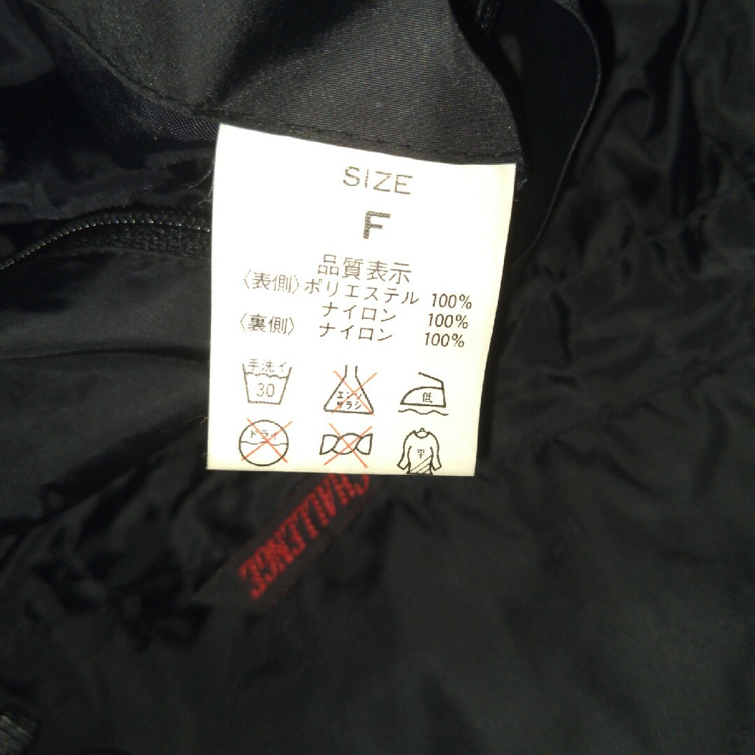 MIZUNO(ミズノ)のニッポンチャレンジ　アメリカズカップ2000 ウインドブレーカー メンズのジャケット/アウター(ナイロンジャケット)の商品写真