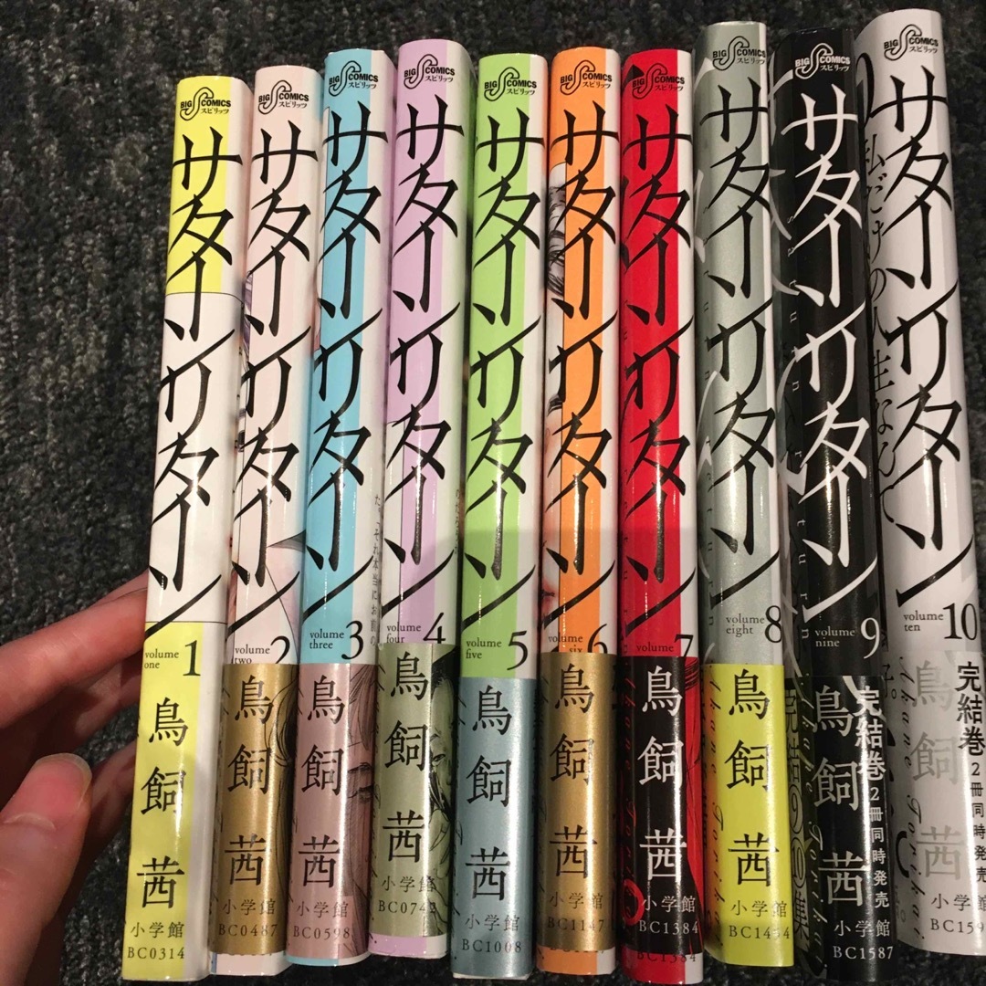 小学館(ショウガクカン)の鳥飼茜　サターンリターン全巻　 エンタメ/ホビーの漫画(女性漫画)の商品写真