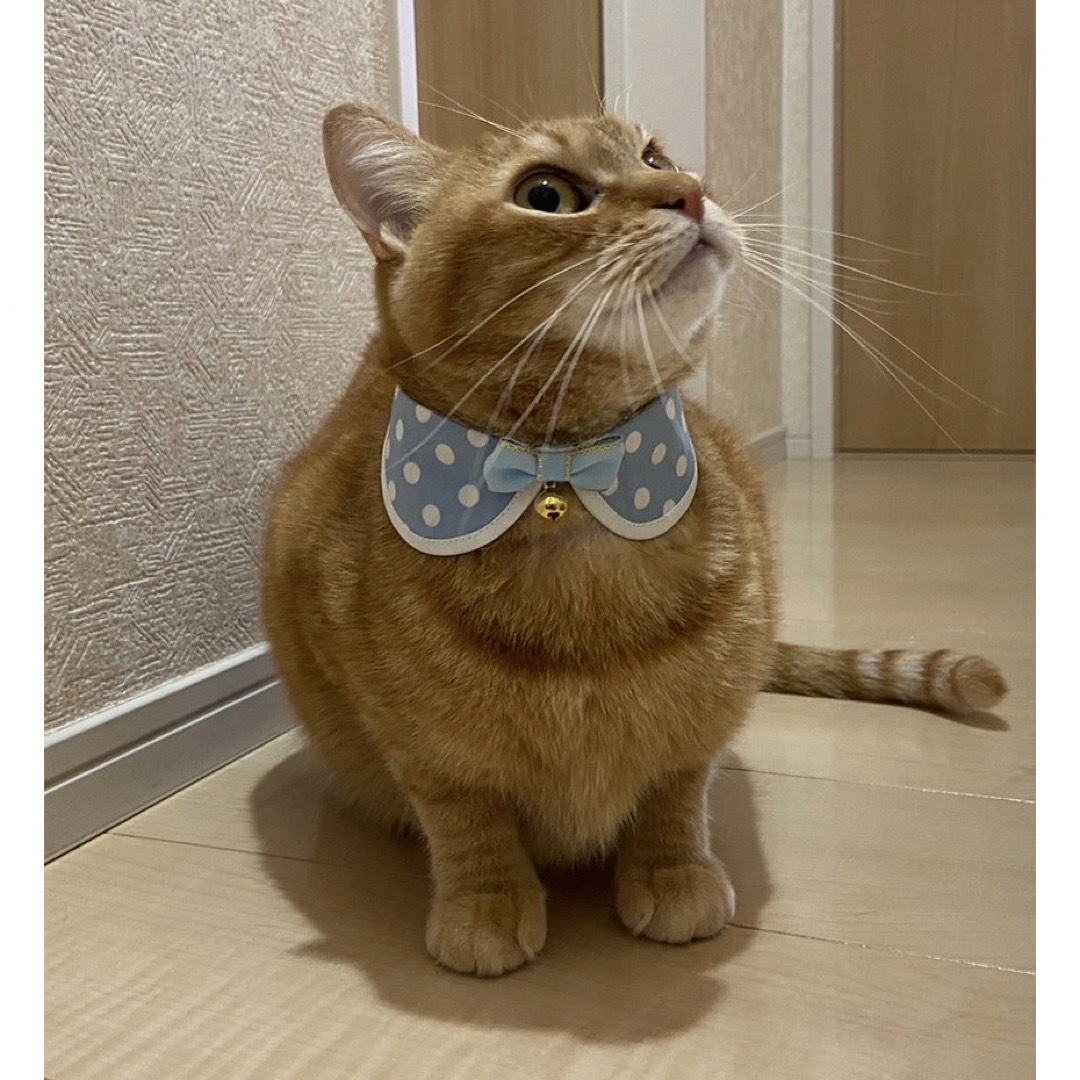 えり付き首輪(小花柄 ブルー レース付き) 猫 セーフティバックル 首輪 ハンドメイドのペット(リード/首輪)の商品写真