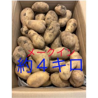 【ポコ様　専用】新じゃが　メークイン　6kg(野菜)