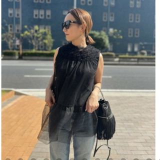 ドゥロワー(Drawer)のall tulle mini frill sheer tunic(シャツ/ブラウス(半袖/袖なし))