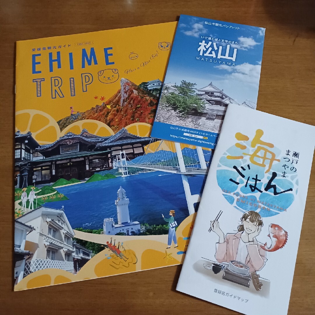 愛媛　道後温泉　ガイドブック　'23 エンタメ/ホビーの本(地図/旅行ガイド)の商品写真