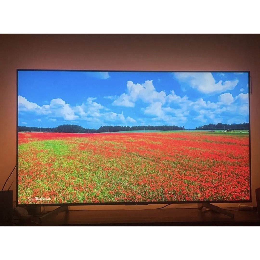 SONY BRAVIA X8500F