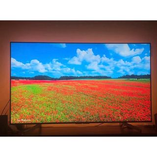 SONY BRAVIA X8500F(テレビ)