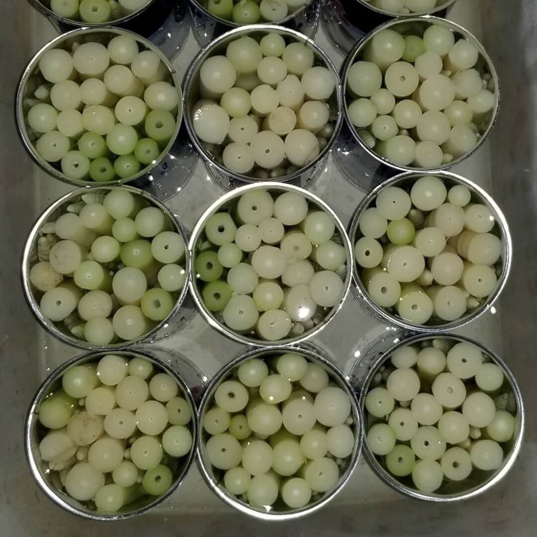 令和5年産 北東北タケノコ缶詰め10缶 | agro-vet.hr