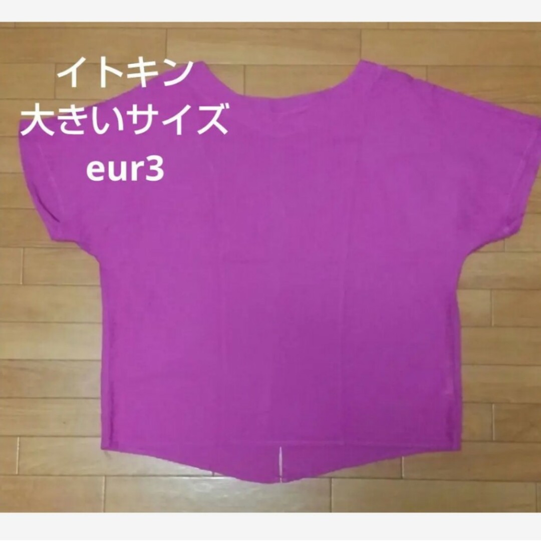 eur3(エウルキューブ)のeur3 フレンチスリーブ Vネック ブラウス 綿100% 美品 13号 レディースのトップス(シャツ/ブラウス(半袖/袖なし))の商品写真