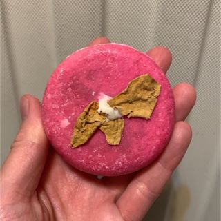 ラッシュ(LUSH)のLUSH ココナイスケーキ(シャンプー)