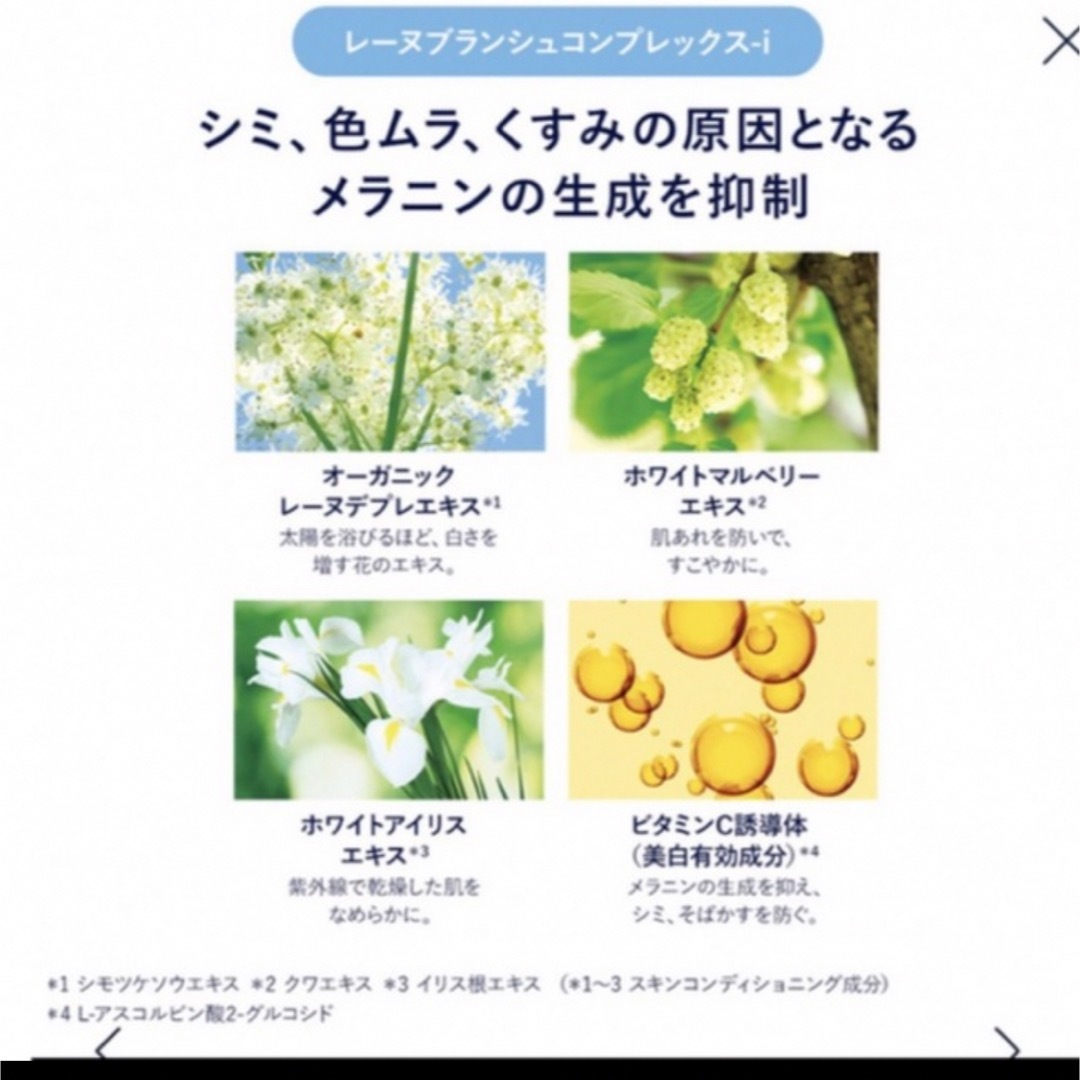 L'OCCITANE(ロクシタン)のロクシタン　レーヌブランシュ ブライトコンセントレートセラム コスメ/美容のスキンケア/基礎化粧品(美容液)の商品写真