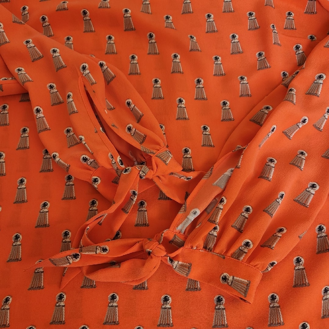 DHELAブラウス レディースのトップス(シャツ/ブラウス(長袖/七分))の商品写真