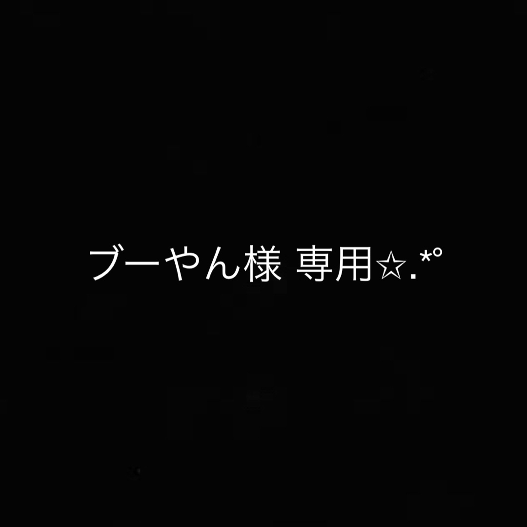 ブーやん様 専用 その他のその他(その他)の商品写真