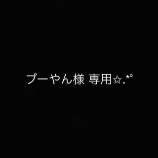 ブーやん様 専用(その他)