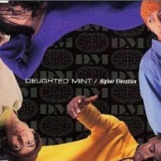 新品 Delighted Mint - Higher Elevation CD(ポップス/ロック(邦楽))